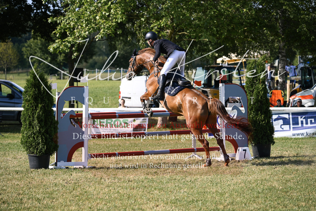 DSC_1484 | Pferde- und Turnierfotografie in Westsachsen. Pferdeportraits, Auftragszeichnungen und intuitive Kunst.