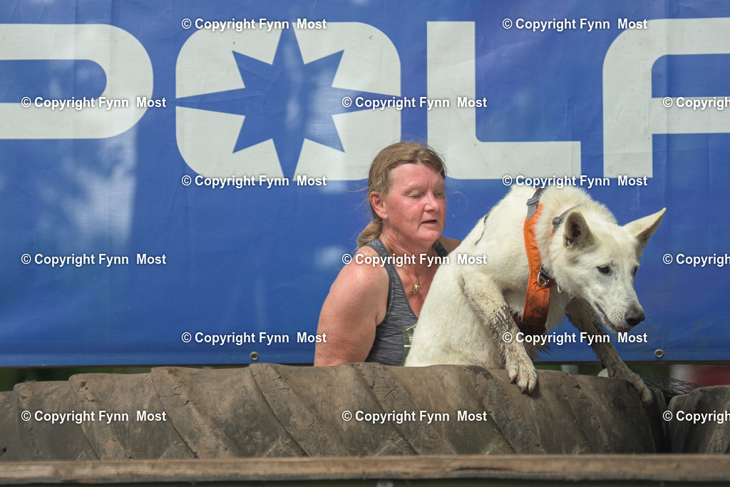 DSC_0195 | Hallo und herzlich Willkommen auf meiner Shop-Seite Fynn Most.

Ich wünsche Dir viel Spaß beim stöbern durch die Bilder, wenn Du Fragen hast oder Bilder vermisst, kannst du mir gerne eine Nachricht schreiben. - Realisiert mit Pictrs.com
