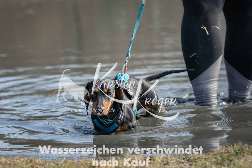 1228_ZZ99844 | kk-dogfotos