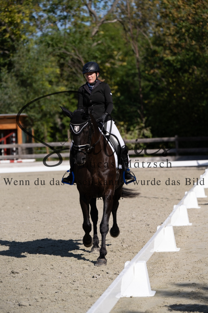 A7V06982 | Turnier/Reitfotograf
