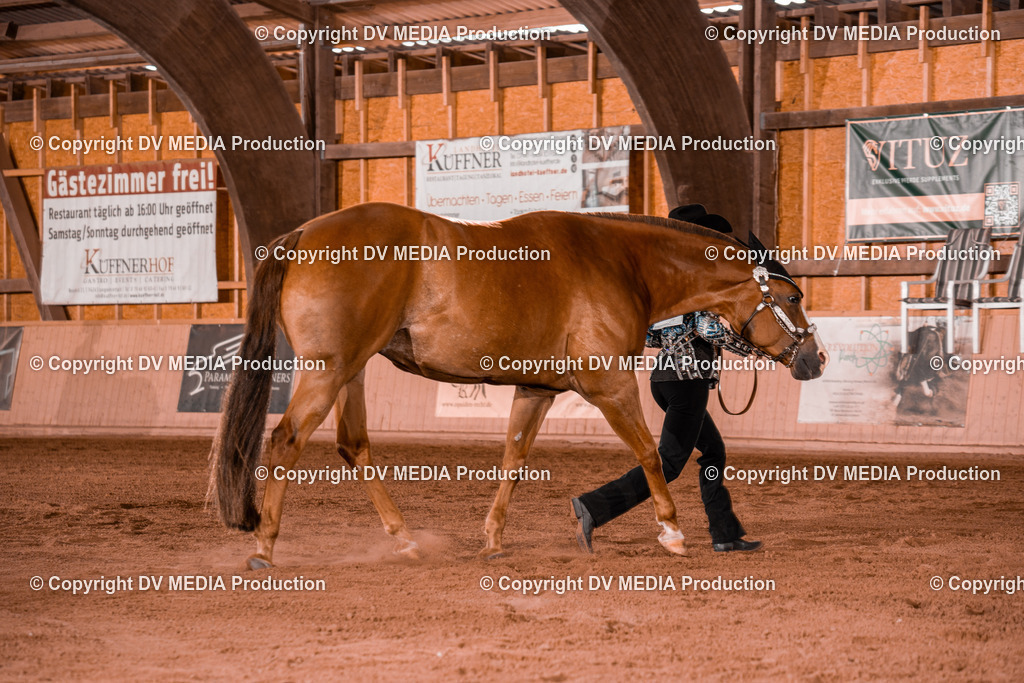 NE200060 | dv-media-shop - Realisiert mit Pictrs.com