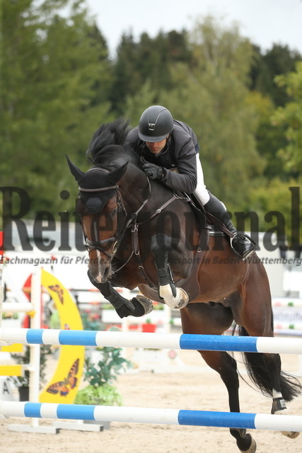 Villingendorf_2022_Prfg.Nr.08_zwei Phasen_Springprfg.Kl.M_Youngster_Jochen Teufel_Hardy T (2) | Alle Fotos der Reiterjournal Fotografin Doris Matthaes im Reiterjournal Online-Fotoshop. - Realisiert mit Pictrs.com