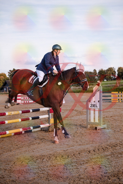 2026_10_03_Siefer-Hof_170340_Z81_00437182 | Professionelle Reitsport-, Turnier- und Eventfotografie von Robert Broda. Galerien mit ausgewählten und bearbeiteten Bildern direkt online ansehen und bestellen.