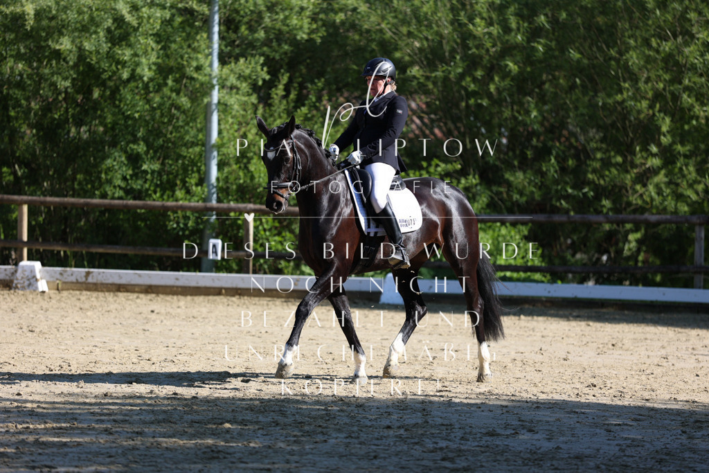 IMGT9853 | pl-fotografie