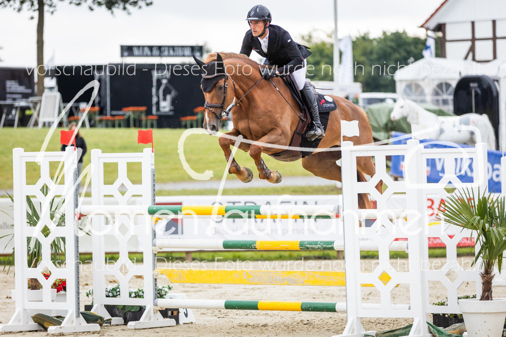 BHO-2PhSpr-M-252 | MomenTaufnahmen Pferdesportfotos