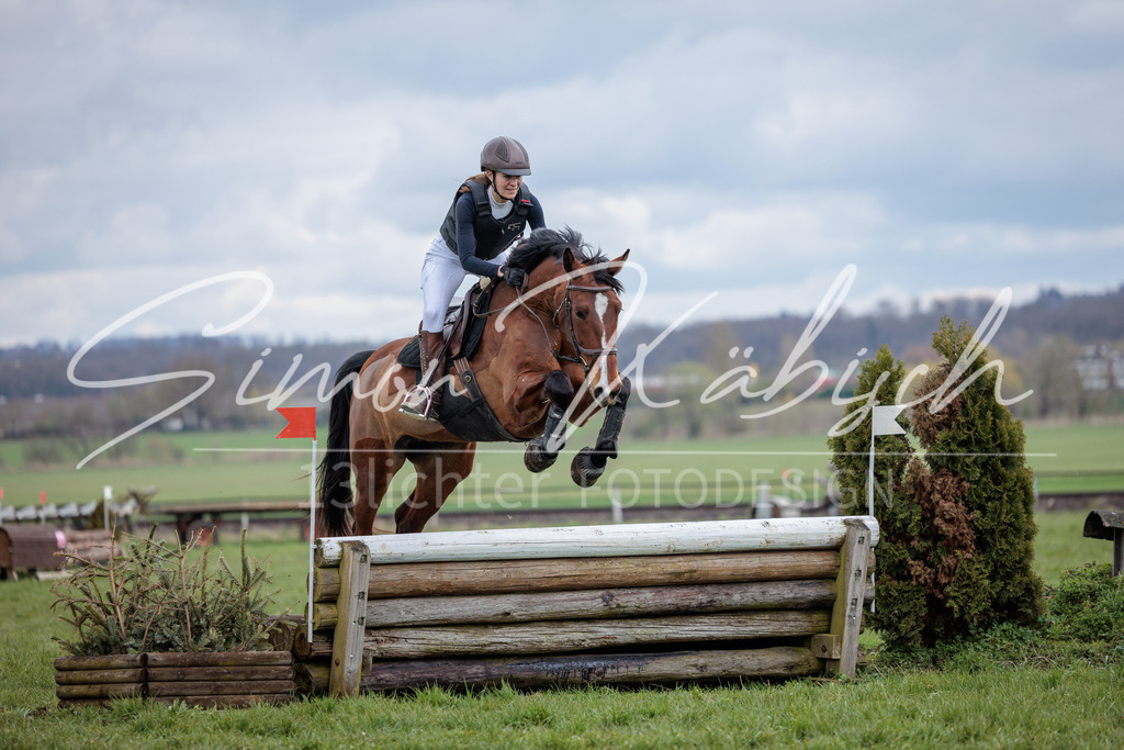 20260329-_3LI5608 | Tierfotografie Pferde, Hunde, Katzen, Haustiere.
Turnierfotografie Reitturniere, Reiten, Springreiten, Dressur in Hanau, dem Main-Kinzig-Kreis und dem Rhein-Main- Gebiet um Frankfurt