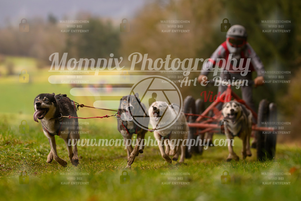 MompixPhotography_2SSTSSBW_2025_SO_Kart-35 | PayLife