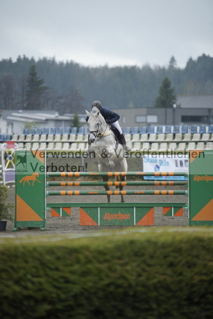 _DSC6333 | equestrian-live-com
