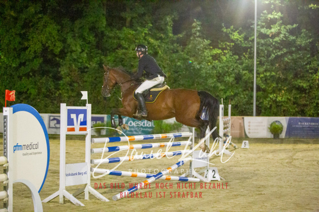 IMG_6308 | Turniersportfotografie; Pferdefotografie; Dressurfotografie