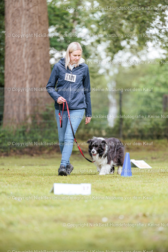 RO-Blumenthal-2026-Nickbest-Hundefotografie-5182 | Dein Hund! Dein Moment! Deine Erinnerungen! Hundefotografie in Bremen Blumenthal. Ich fange die besonderen Momente deines Vierbeiners ein – ob Indoor mit Blitzanlage oder in der freien Natur. Sicher dir dein Moment und dein Termin für eure Erinnerungen.