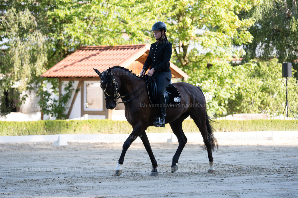 WL_DR_25_sinafilmart_IN05833 | working equitationturnier fotograf videograf stoibphotography marixx film working equitation deutschland reitsport turnierfotografie eventfotografie equestrian events