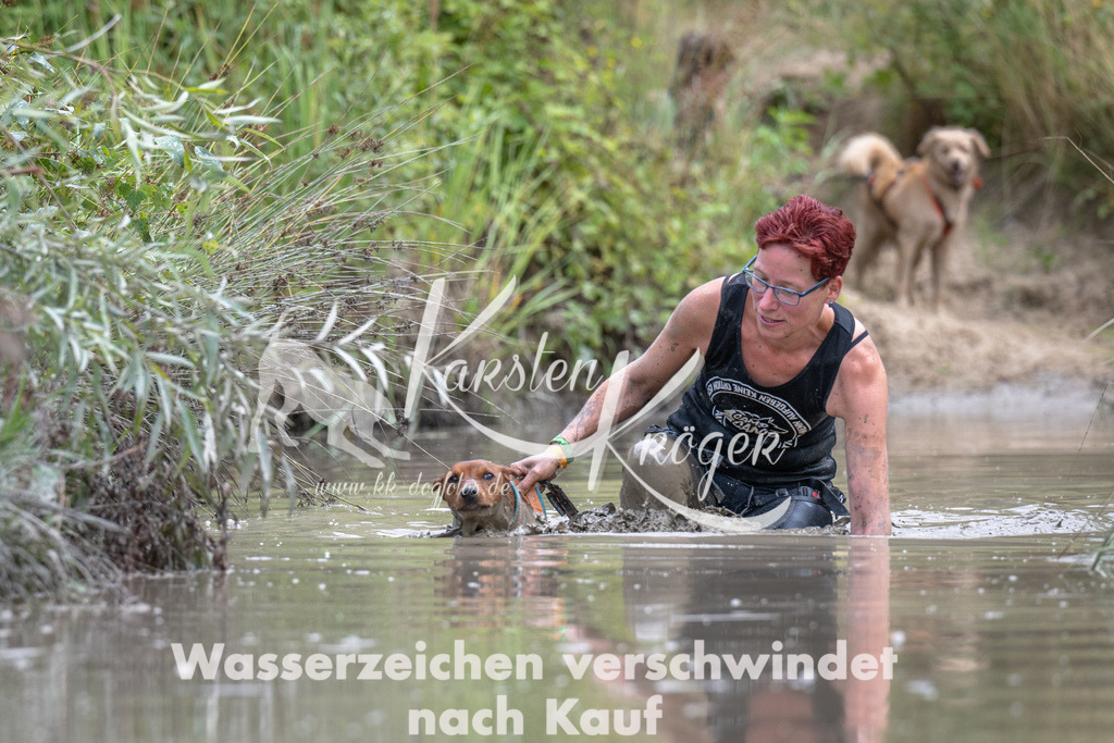1238_ZZ90788 | kk-dogfotos