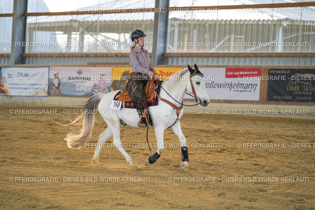 DSC08906 | Pferdegrafie