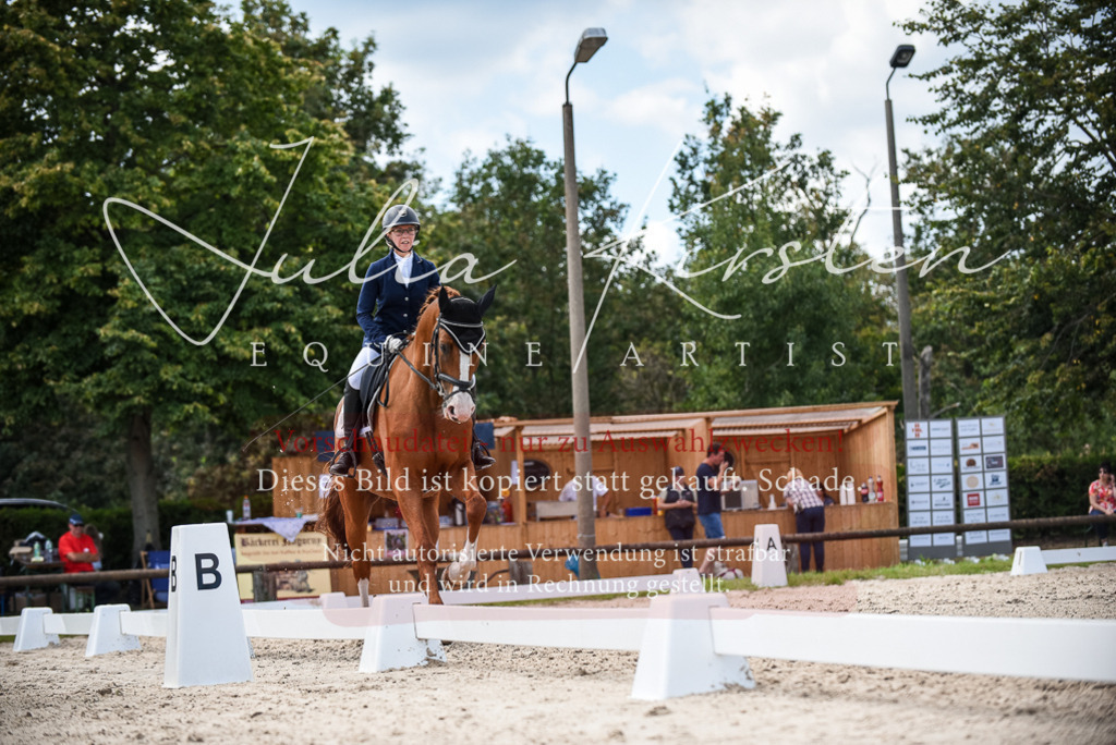 DSC_9241 | Pferde- und Turnierfotografie in Westsachsen. Pferdeportraits, Auftragszeichnungen und intuitive Kunst.