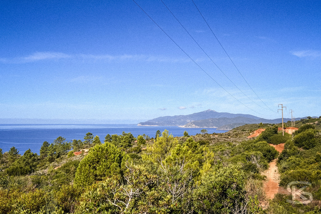 Wildes Elba: Panoramablick über die Küstenlandschaft auf das Mittelmeer – Wandbild | Panorama-Ausblick auf die hügelige Küstenlandschaft der Insel Elba mit typisch mediterraner Vegetation (Macchia) im Vordergrund und dem weiten, blauen Meer unter sommerlichen Wolkenformationen. - Realisiert mit Pictrs.com