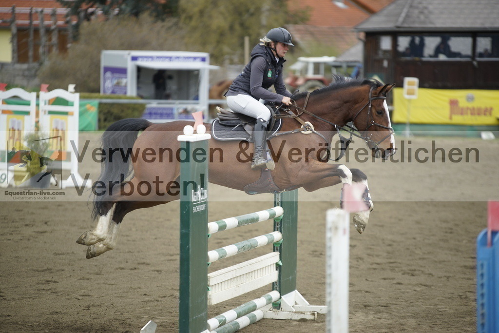 _DSC7169 | equestrian-live-com