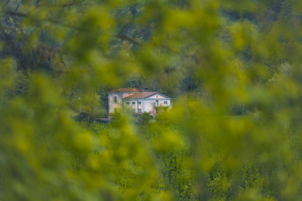 Umbertide, Italien | Die schönsten Bilder für Ihre Räume online bestellen! In unseren Bildergalerien findet Sie alles was es für Ihre Räume braucht. Lassen Sie sich überraschen ☺️ - Realisiert mit Pictrs.com