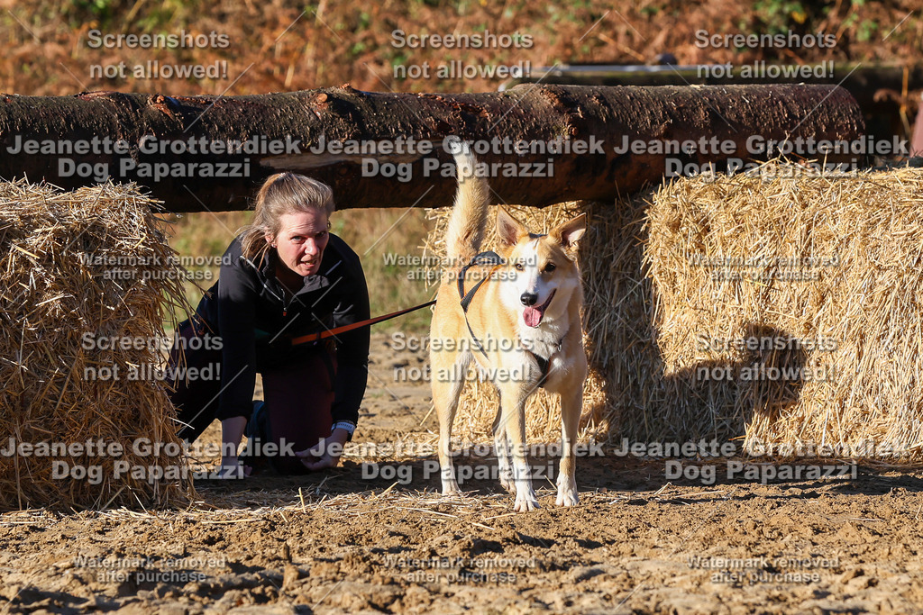 Dog Paparazzi - Strongdog 10-25-1313 | Dog Paparazzi Jeanette Grottendiek Fotografie & Videografie - Realisiert mit Pictrs.com