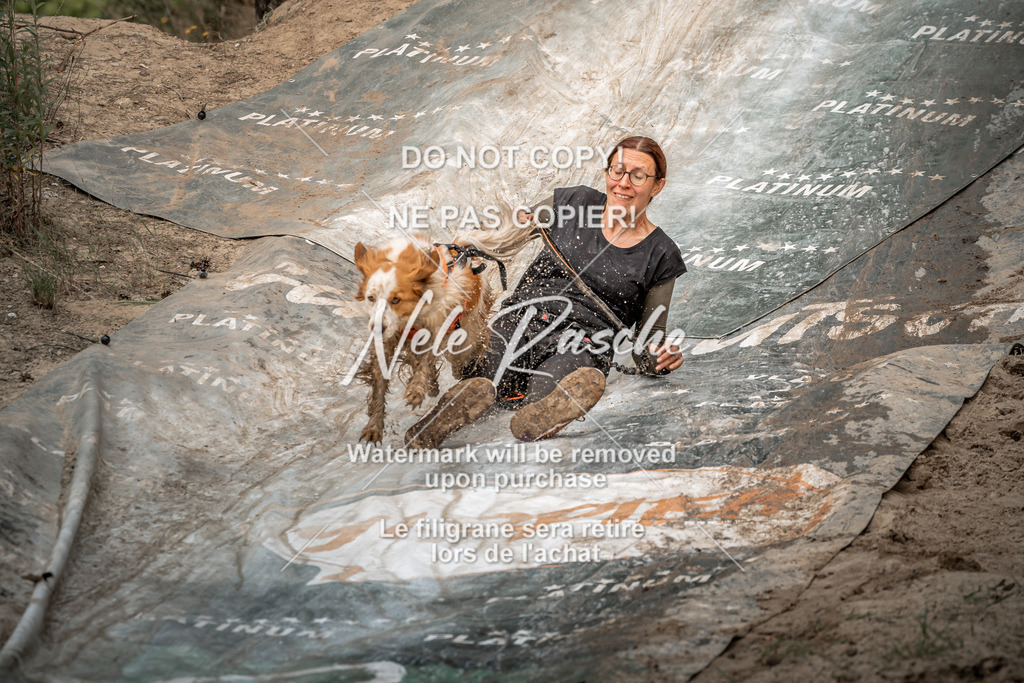 nelerasche_sa1230-1300_275 | nelerasche