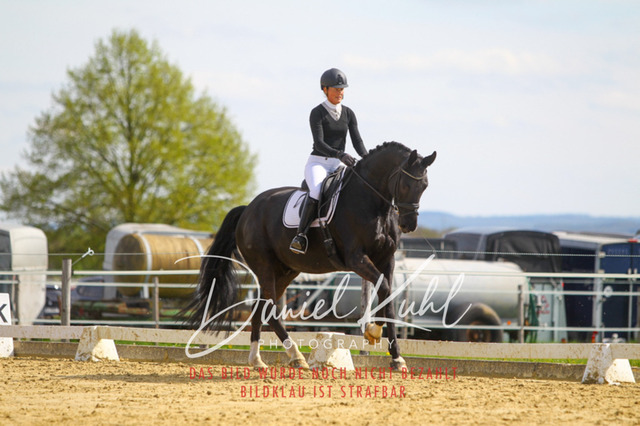 DKP43277 | Turniersportfotografie; Pferdefotografie; Dressurfotografie