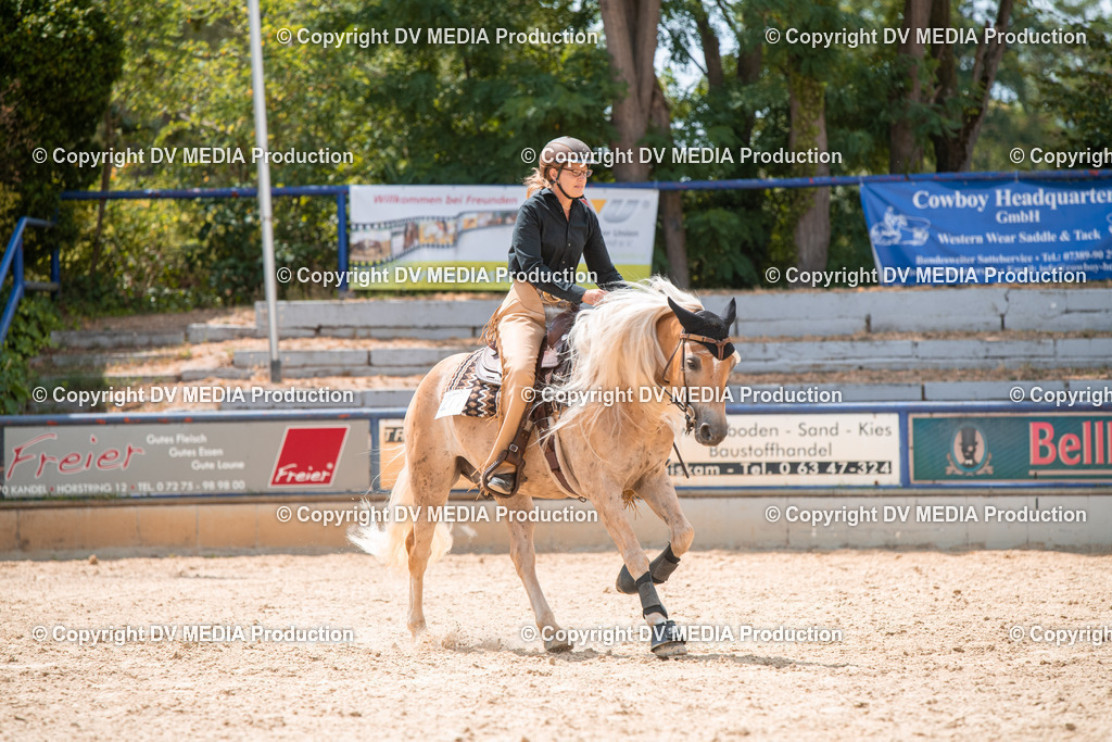 EWP_6526 | dv-media-shop - Realisiert mit Pictrs.com