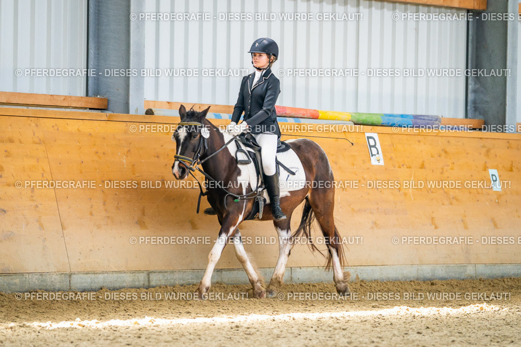 DSC03278 | Pferdegrafie