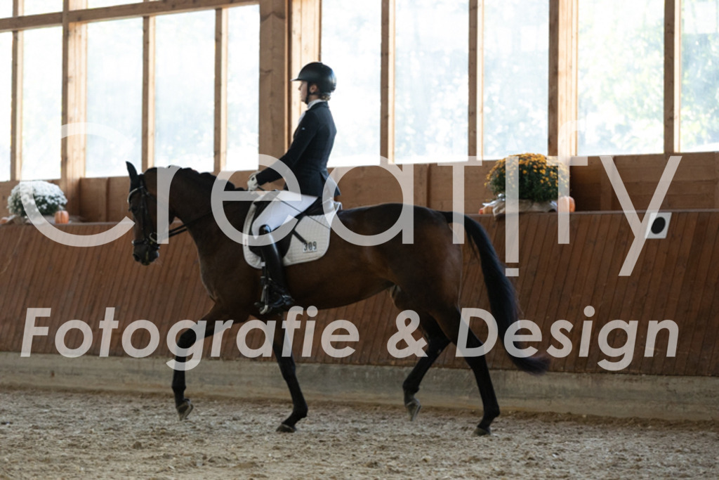 IMG_3746 | Creatify Fotografie