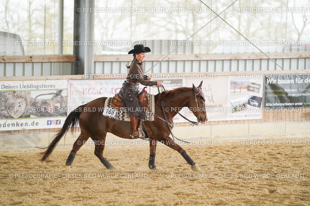 DSC04795 | Pferdegrafie