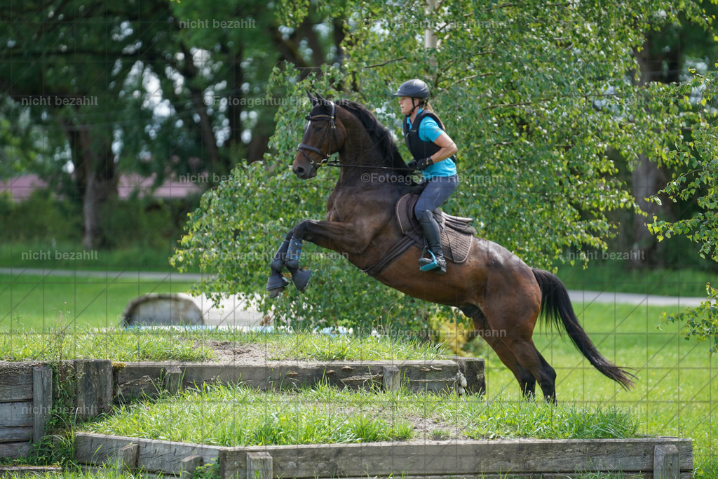 20240622-FAH07667 | Turnierfotografen Bayern, Reitsportbilder aus dem Geländekurs mit Felix Etzel auf dem Gut Waitzacker 2024
