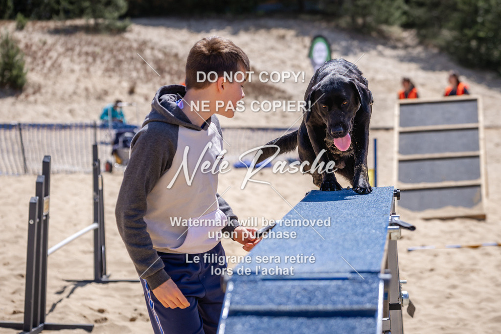 NR__2052 | nelerasche