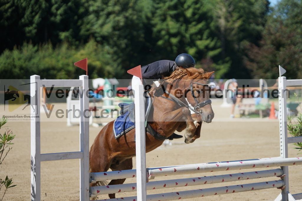 DSC07221 | equestrian-live-com