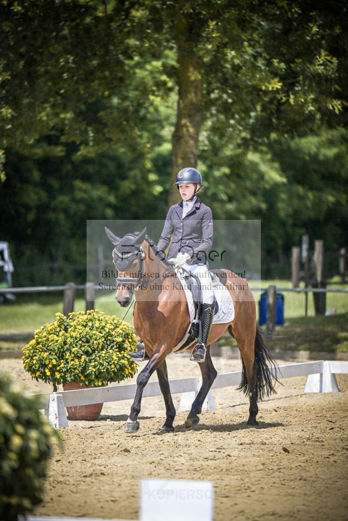 DOS_2601 | Entdecke hochwertige Reitturnierfotos von Foto Oger. Professionell, emotional und authentisch – jetzt Lieblingsmomente im Shop bestellen.Deutschlandweite Turnierfotografie. - Realisiert mit Pictrs.com