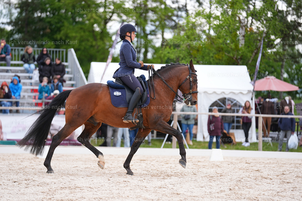PI26_DR_259_StoibphotographySIN09467.jpg | working equitationturnier fotograf videograf stoibphotography marixx film working equitation deutschland reitsport turnierfotografie eventfotografie equestrian events