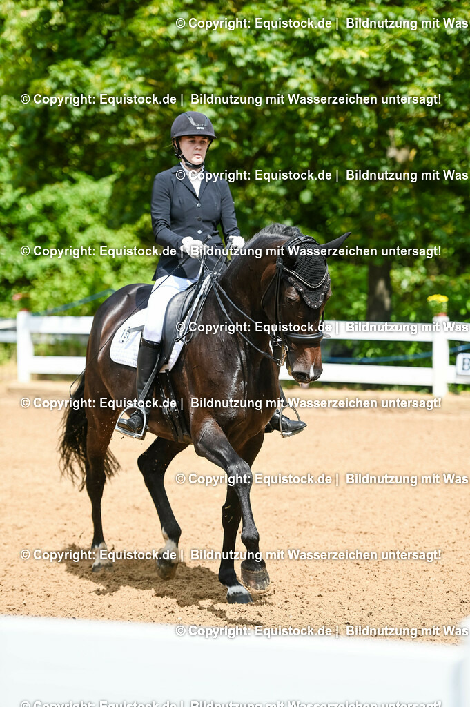 20230716_01_Dressurprüfung Kl.M_0058 | equistock
