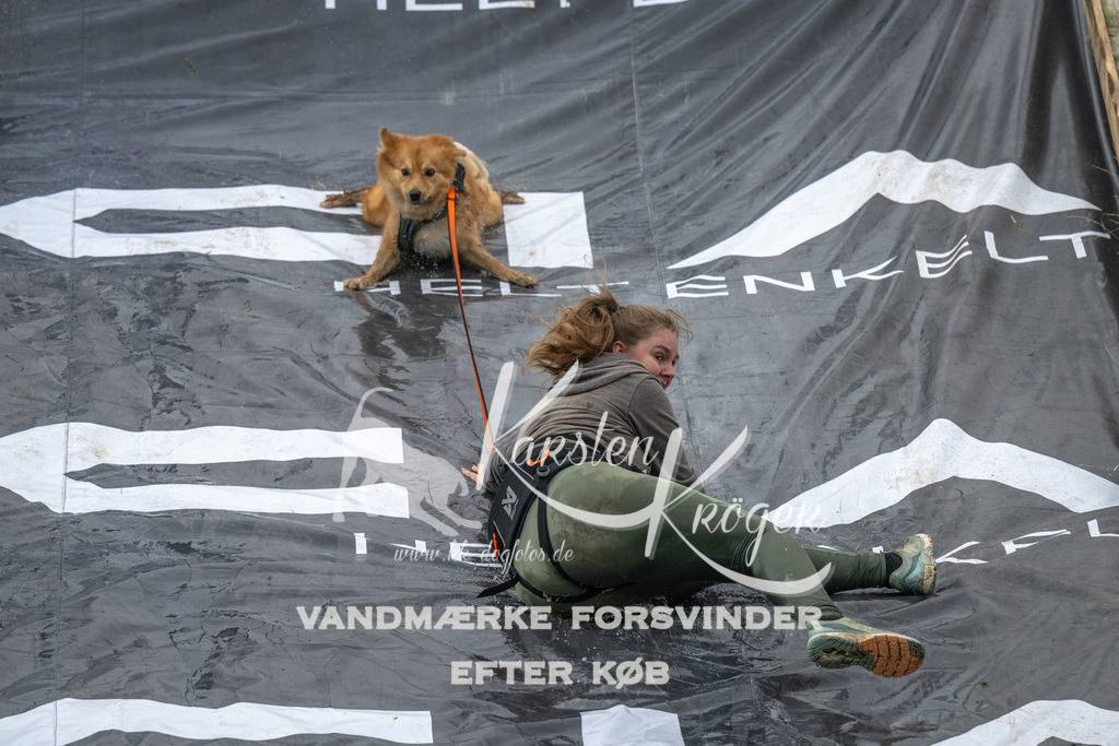 1613_ZZ92705 | kk-dogfotos