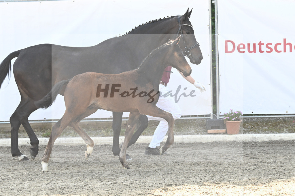 Kat-Nr. 2 HF Escaneno_Ruetz_12230088 | hf-fotografie - Realizzato con Pictrs.com