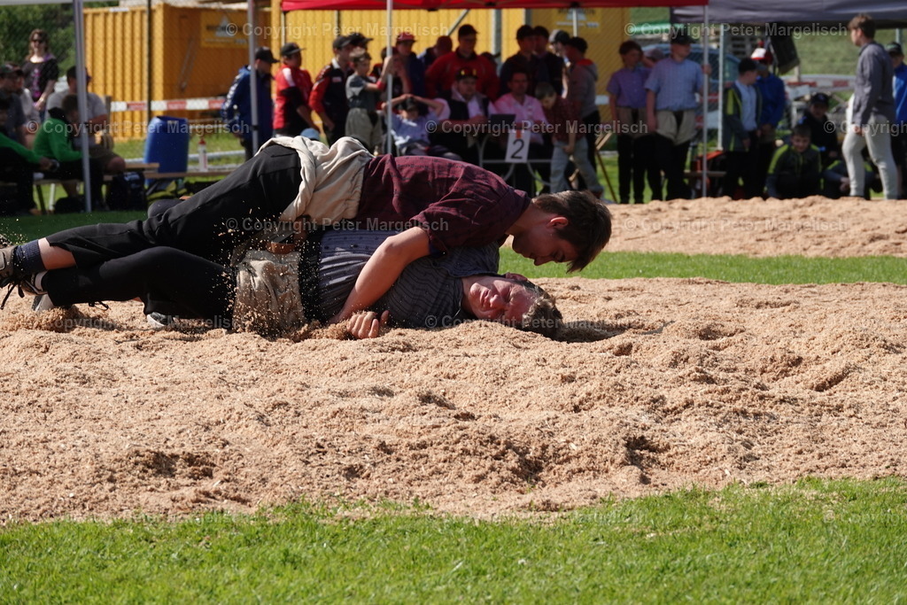 DSC04344 | Schwingen - Realisiert mit Pictrs.com