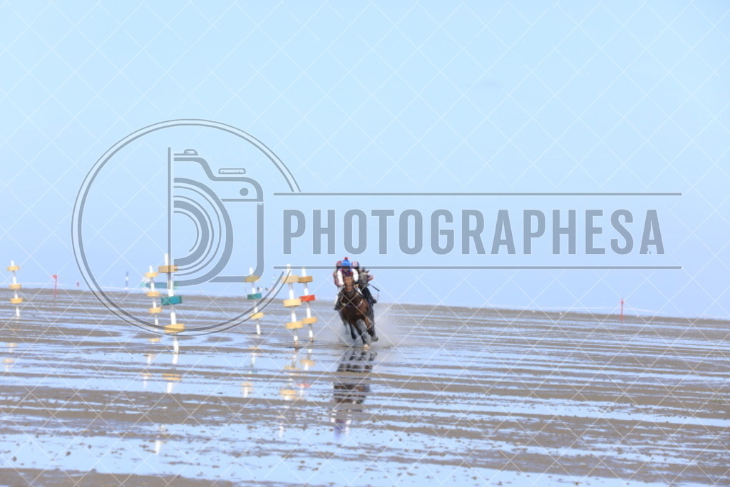 IMG_8890 | photographesa-joergens - Realisiert mit Pictrs.com