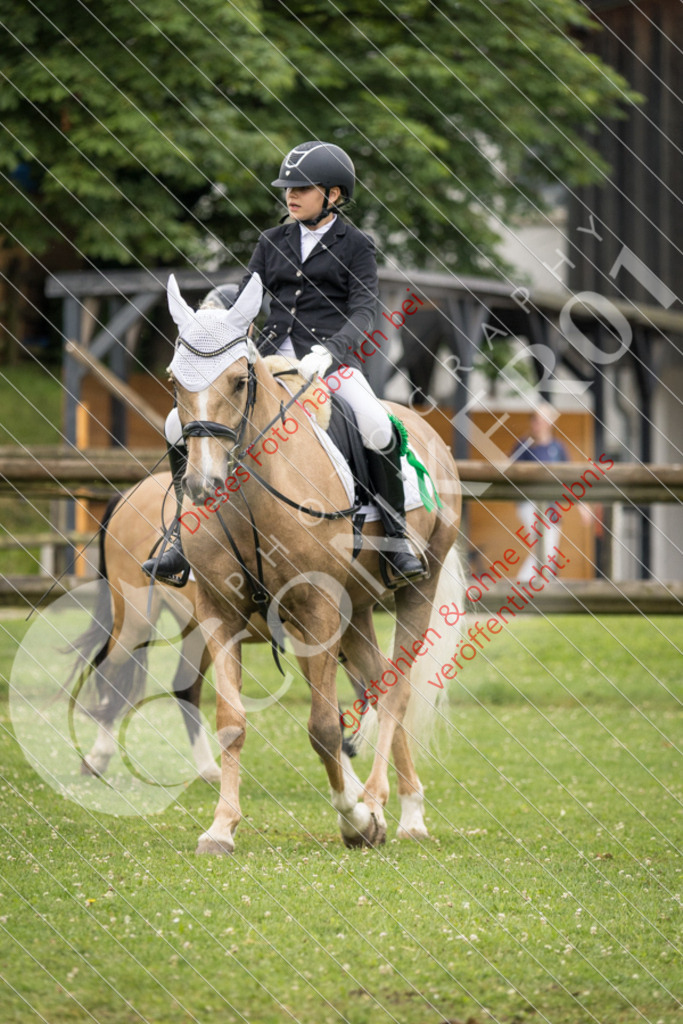 IMG_1977 | Sport-, Event- und Tierfotos in Profiqualität. Einfach auswählen, bestellen und herunterladen. Dein Moment – perfekt festgehalten.