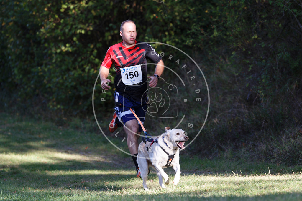 0L8A4994 | Hundefotografie, Tierfotograf, Pfotenfotografie, Fotoshooting Hund, Hunde Portrait, Hundesport, Hundeportraits, Heideshooting, Hunde, Sportfotograf, Hundefotograf, Turnierhundsport, THS,  - Realisiert mit Pictrs.com