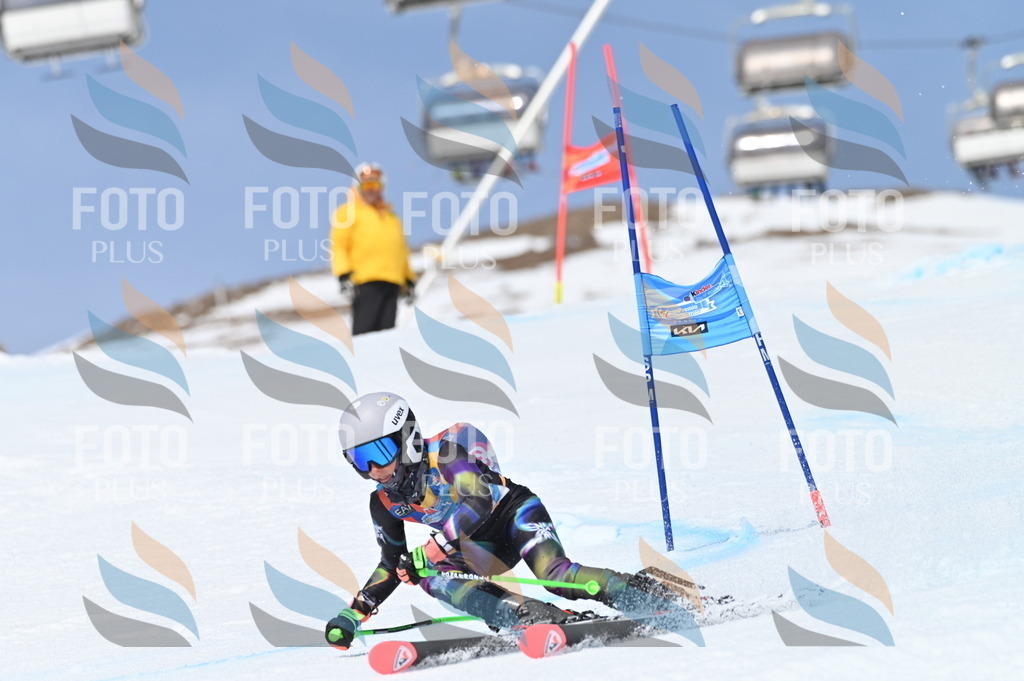 BGV_3309 | holidayphoto