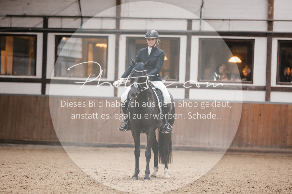 3I6A6145 | Stimmungsvolle Portraits und Reitsportfotografie im Ruhrgebiet und im Münsterland.

Pferdefotografie, Hundefotografie, Tierfotografie, Reportagen, Portraits von Tier und Mensch, Turnierfotografie in Bochum, Recklinghausen, Marl, Haltern am See, Dülmen.. - Realisiert mit Pictrs.com