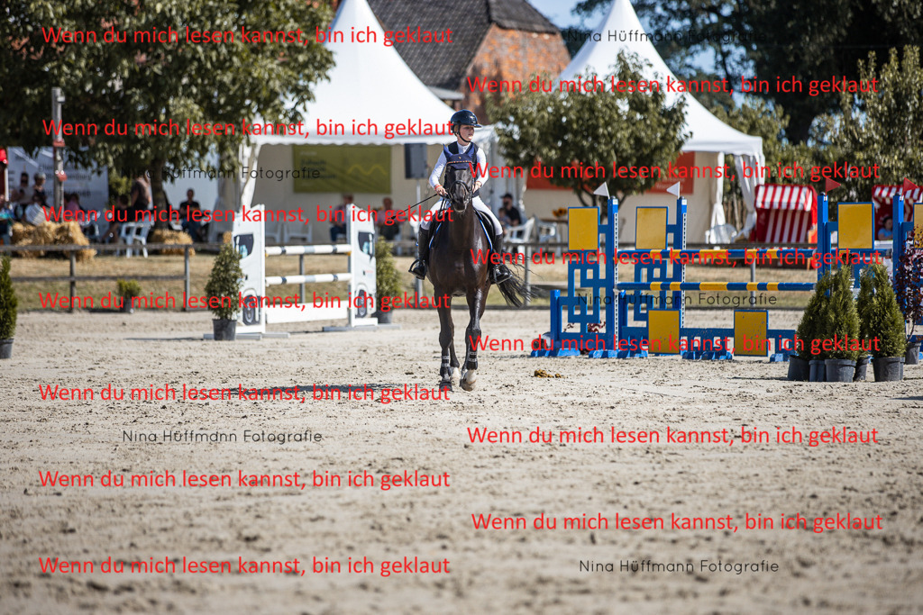 BK1A6948 | Turnierbilder Turnierfotos Nina Hüffmann Turnierfotografie Pferdefotografie Tierzeichnung Haustierzeichnung Pferdezeichnung Hundezeichnung Videograf  - Realisiert mit Pictrs.com