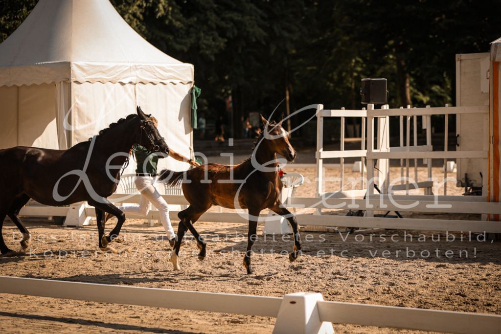 11.DoRP00073 | Leoni Ertmer Photography - Realisiert mit Pictrs.com