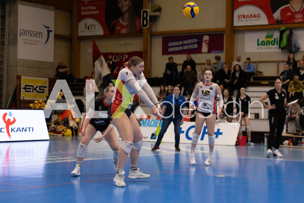 Volleyball I Frauen I Saison 2025-2026 I Volleyball NLA | Women I 1/4 Finals I VC Kanti Schaffhausen - BIWI Volleyball Franches-Montagnes I 21.02.2026 | 14 Carine Tschanz (CH) (BIWI VFM) – Diagonalangriff - Realisiert mit Pictrs.com