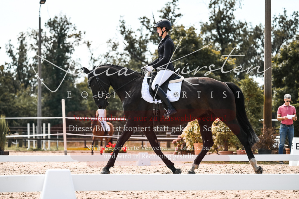DSC_5328 | Pferde- und Turnierfotografie in Westsachsen. Pferdeportraits, Auftragszeichnungen und intuitive Kunst.