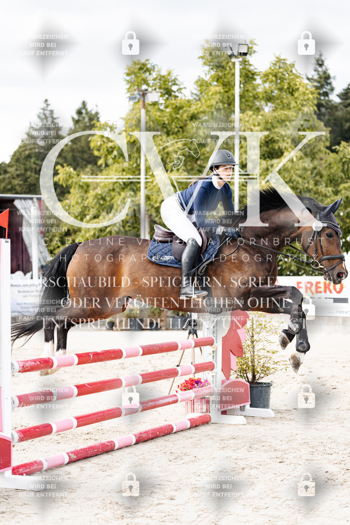 CK902553 | Turnierfotografie Pferdefotografie Trier Rheinland-Pfalz Pferdesport Reitsport Tierfotografie Sportfotografie Pferdevideo Pferdevideografie Equestrianvideography equestrianphotography  - Realisiert mit Pictrs.com