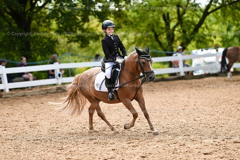 20230716_10-3_Reiter-WB Schritt - Trab - Galopp_0185 | equistock