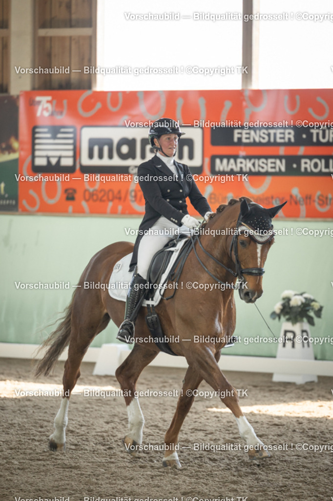 _D5A2227 | Emotionale Pferde- & People-Fotografie rund um Heidelberg, Leimen & Umgebung. Natürliche Fotos von Pferd, Mensch & Familie. Jetzt Termin sichern!