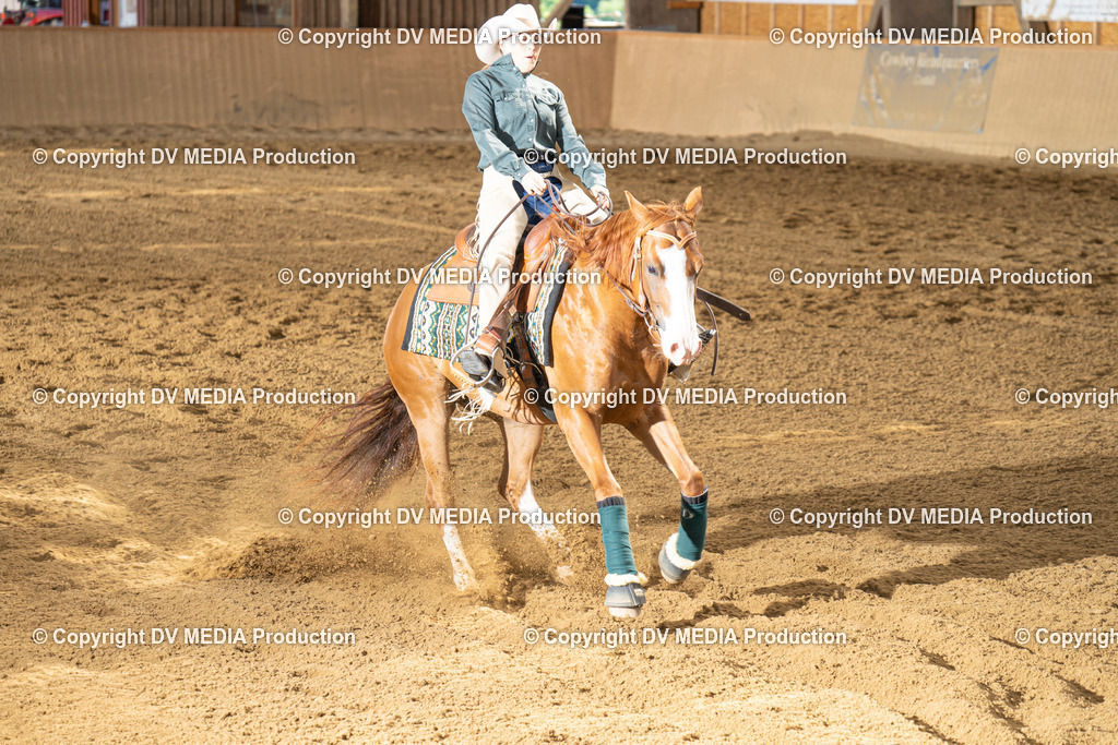 DSC00078 | dv-media-shop - Realisiert mit Pictrs.com